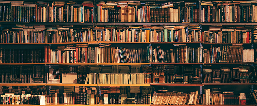 shelves filled with books